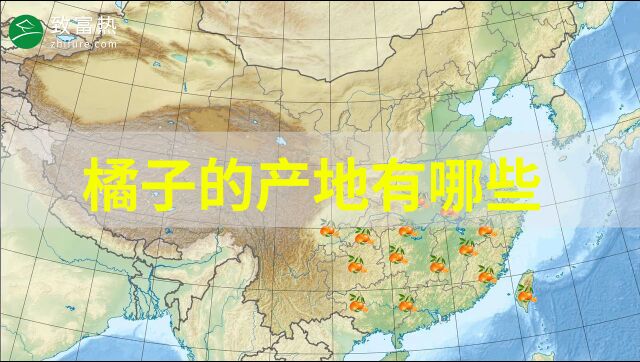 橘子的產(chǎn)地有哪些